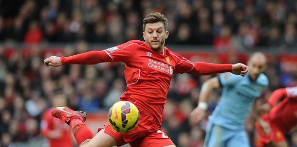 许多粉丝纷 许多粉丝纷